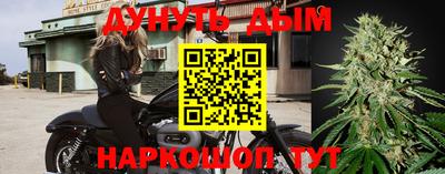 ГАЛЛЮЦИНОГЕННЫЕ ГРИБЫ Кингисепп