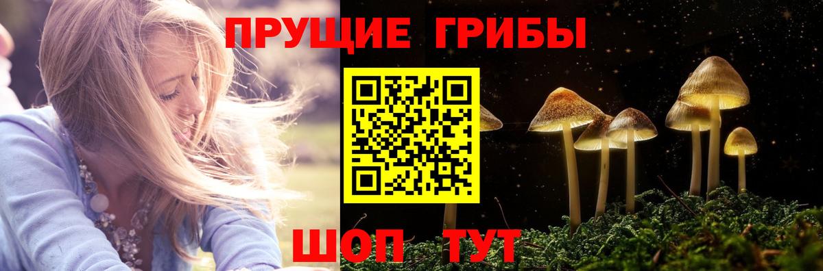 Галлюциногенные грибы Cubensis  Вход с VPN  Кушва 